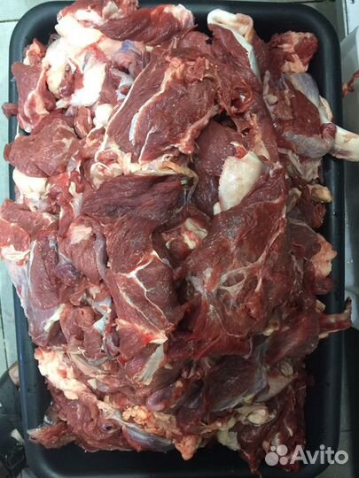 Мясо для собак и кошек. натуральный корм