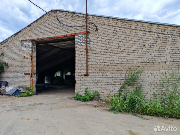 Белгородские корма для сельскохозяйственных животн