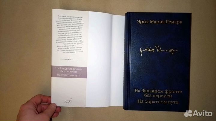Ремарк. На Западном фронте без перемен. На обратно