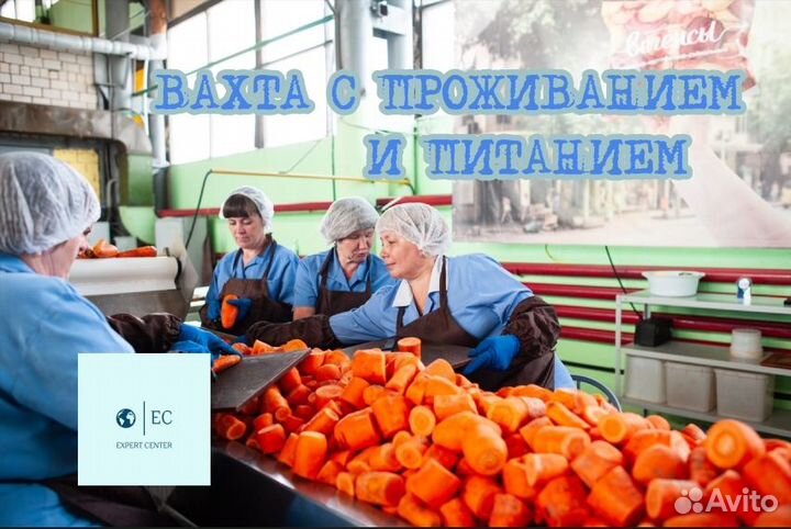 Вахта Разнорабочий (проживание+3х питание)