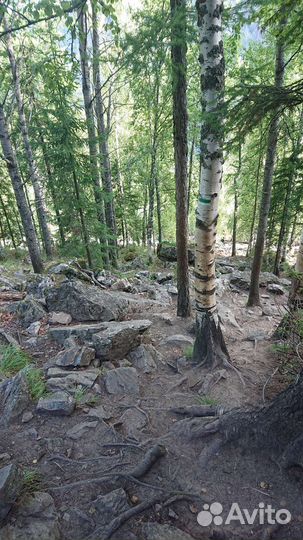 Тур на Айгир