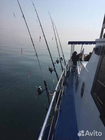 Прогулки, морская рыбалка в Калининграде на катере