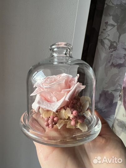 Вечная роза в колбе