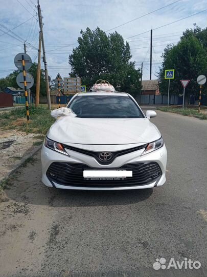 Свадебные украшения на машину аренда