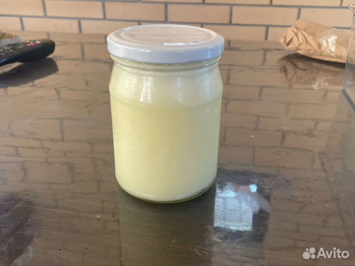 Жир сурка
