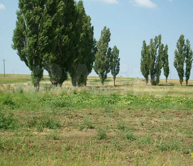 Участок 18,3 сот. (ИЖС)