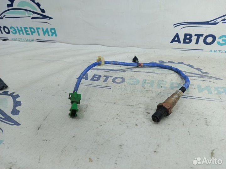 Датчик кислородный Haval F7 1.5 GW4B15 2020