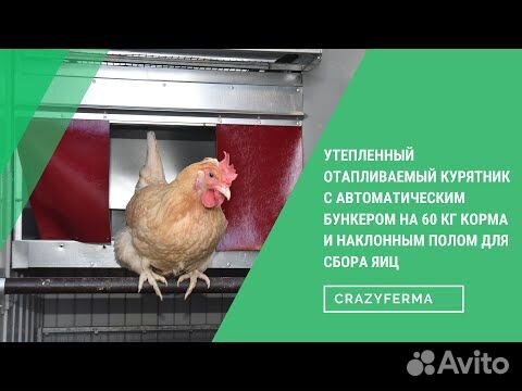 Гнезда с яйцесборником для кур несушек своими руками | Курочка | Дзен