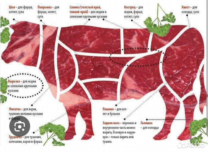 Планируется забой молодой телки