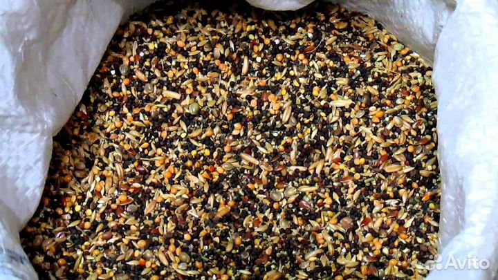 Корм для птиц