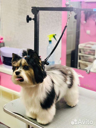 Вязка бивер