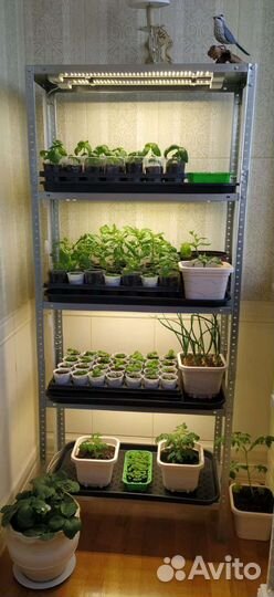 Фитолампа 18-72Вт 56см./115см