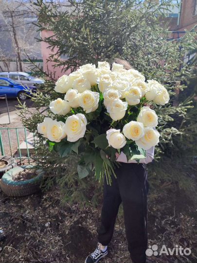 Роза Садовая ароматная Канделайт букет