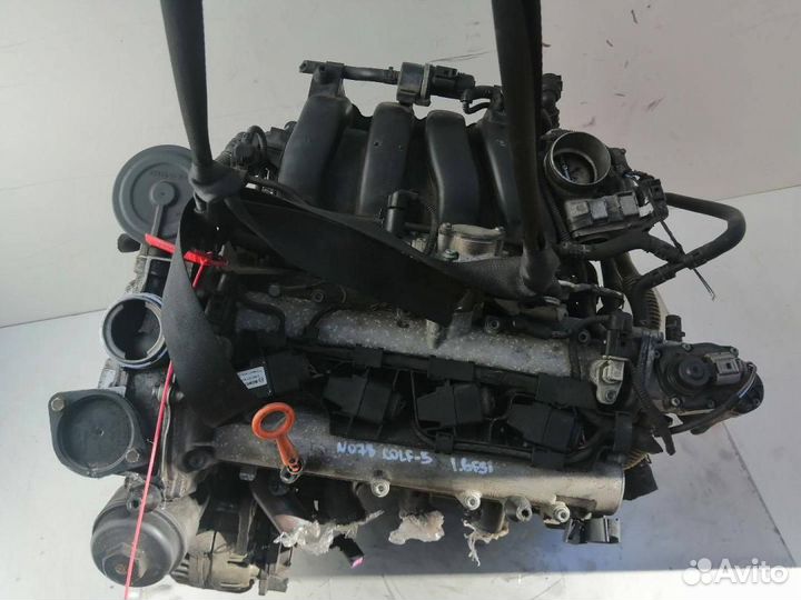 Двигатель Volkswagen Golf 5 поколение 1.6