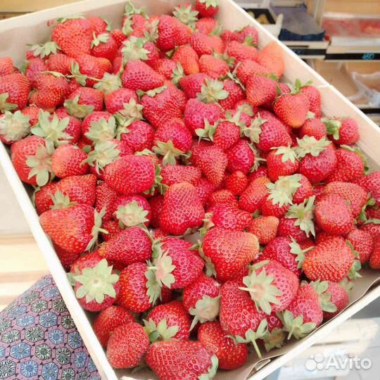 Клубника свежая