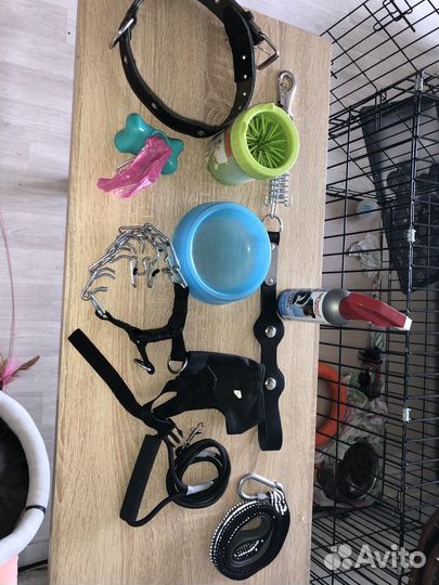 Вещи (принадлежности) для животных