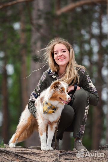 Кинолог. Дрессировка собак (прогулка, послушание)