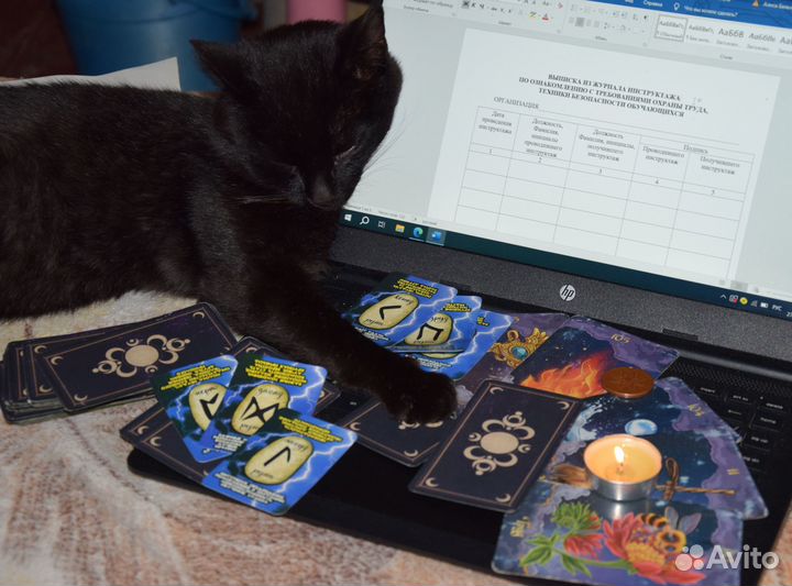 Таролог. Карты таро. Расклады