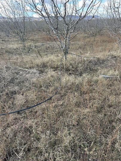 Участок 10 га (СНТ, ДНП)