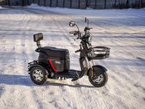 Электротрицикл White Siberia sibtrike Max 2000w