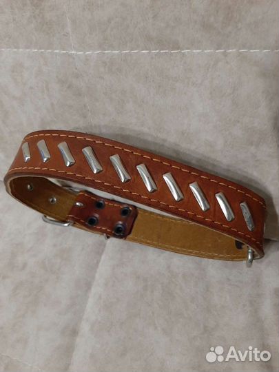 Ошейник для животных