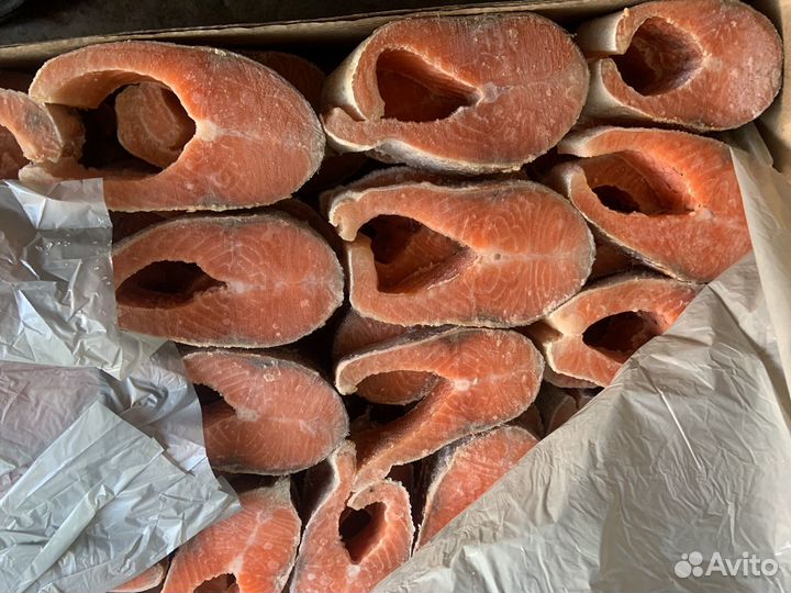 Форель охлажденная, икористая