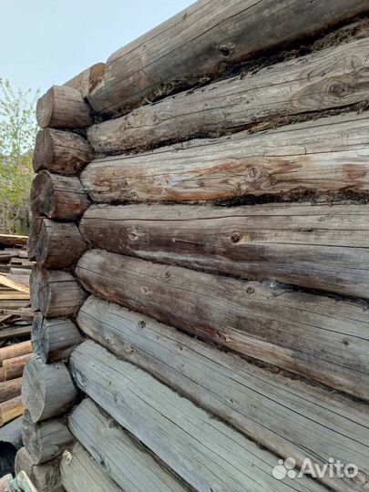 Сруб бани бу