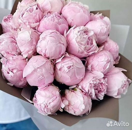 Пионы Букет