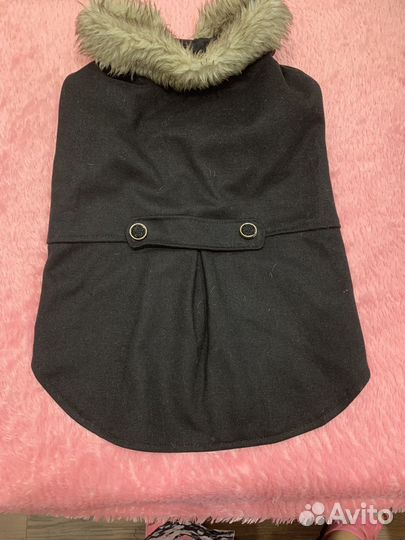 Одежда для средних собак