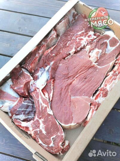 Мясо говядина