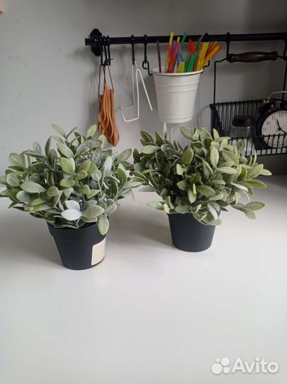 Искусственное растение Икеа