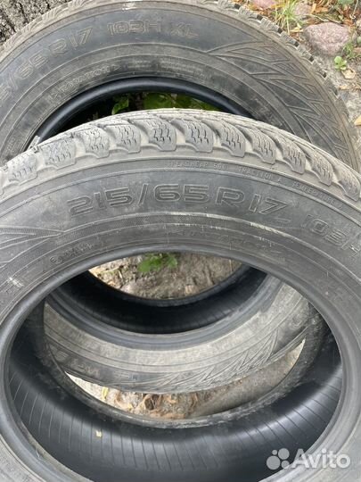 Nokian Tyres WR C3 215/65 R17