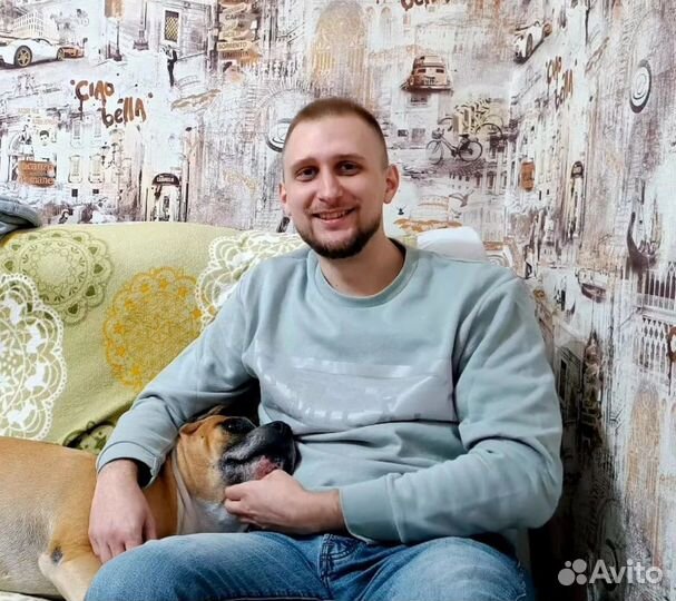 Frontend разработчик