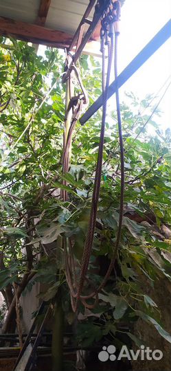 Паук, строп, строп тросовый