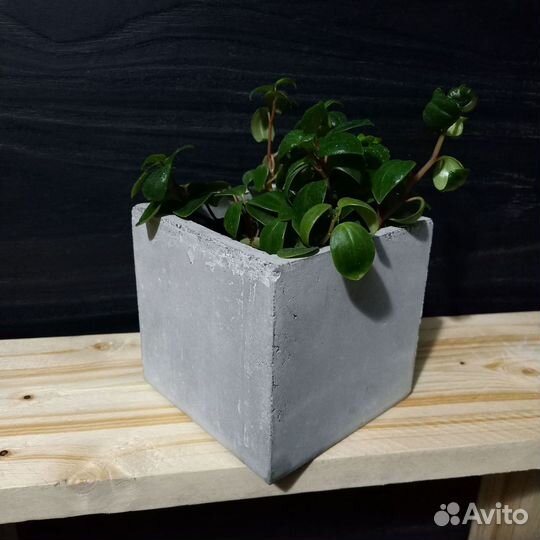 Кашпо, Вазоны, Горшки под заказ из бетона