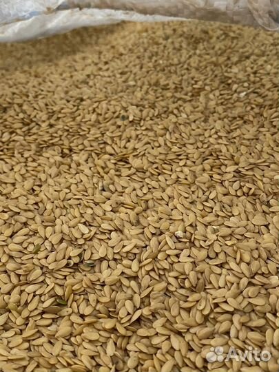 Услуги очистки, сортировки, фотосепарации зерна