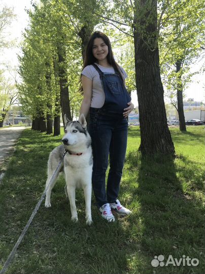 Комбинезон для беременных