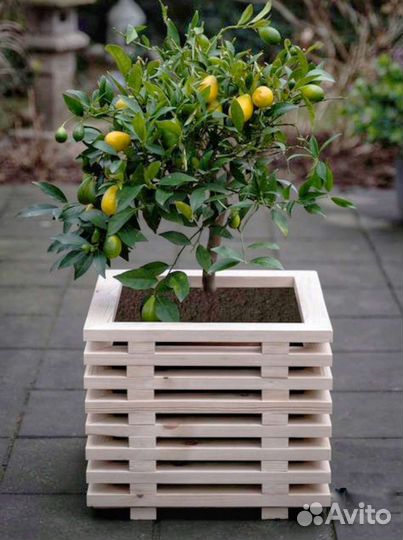 Горшок, кашпо, вазон для цветов и деревьев уличные