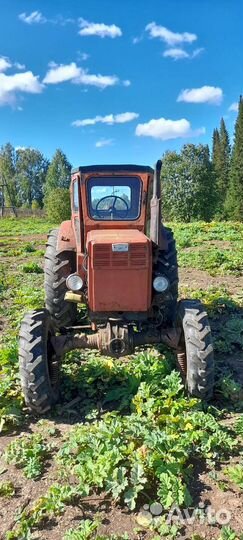 Трактор ЛТЗ Т-40AM, 1992