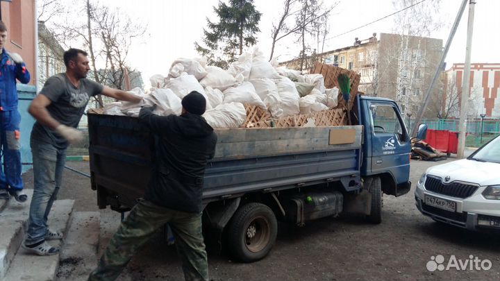 Услуги Минисамосвала