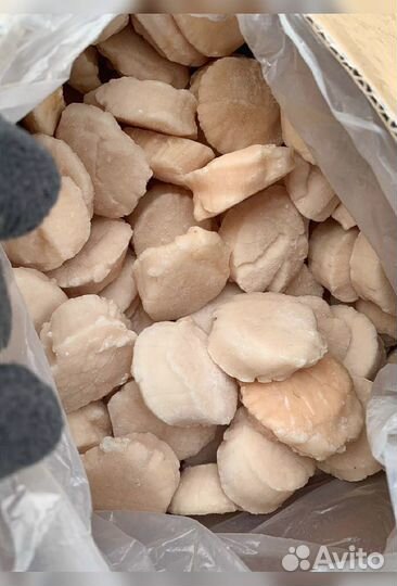 Краб, Креветка, Гребешок