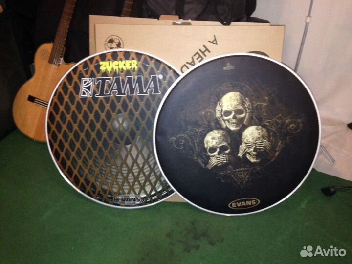 Evans 24”
