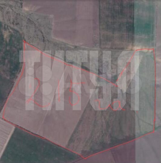 Участок 218 га (промназначения)