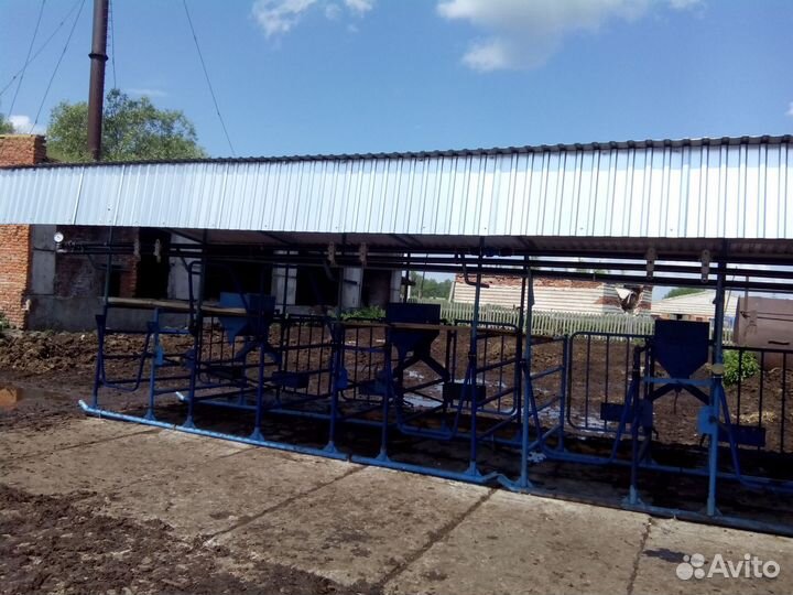 Летние лагеря для доения крс