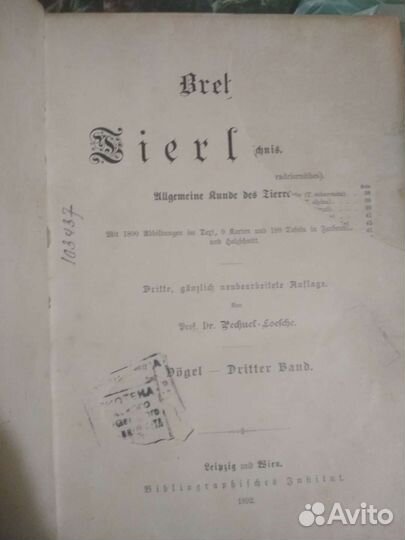 Брэм на немецком 1892г