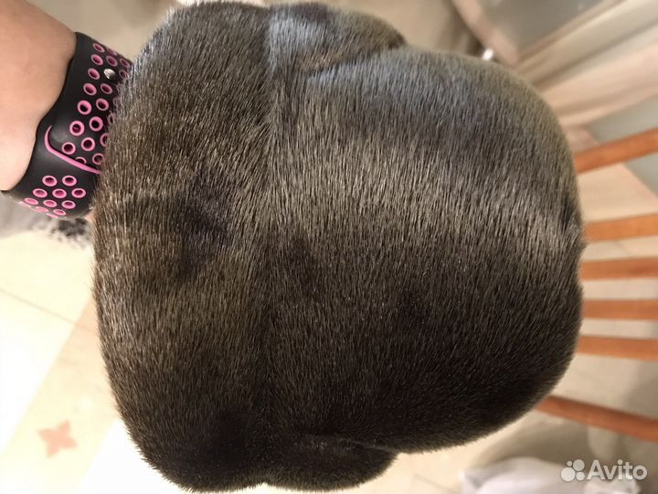 Мужская шапка нерпа морская