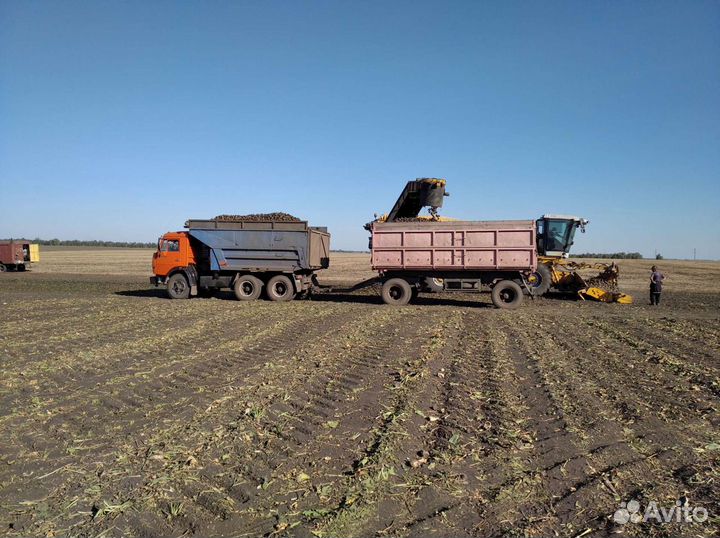 Услуги камаз самосвала. Грузоперевозки