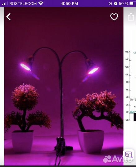 Фитолампа для растений полный спектр