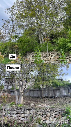 Уборка участка, спил деревьев, покос травы, вывоз