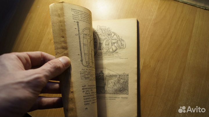 1586,2 Степанов П. А., Павлова Н. М. Колхозный сад